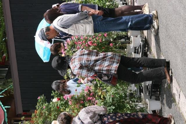 Exhibition and spot sale of roses