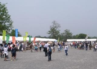 Environment Festival (booth)