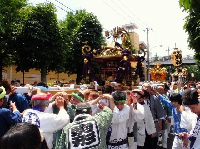 市内の神輿が一斉に渡御をする