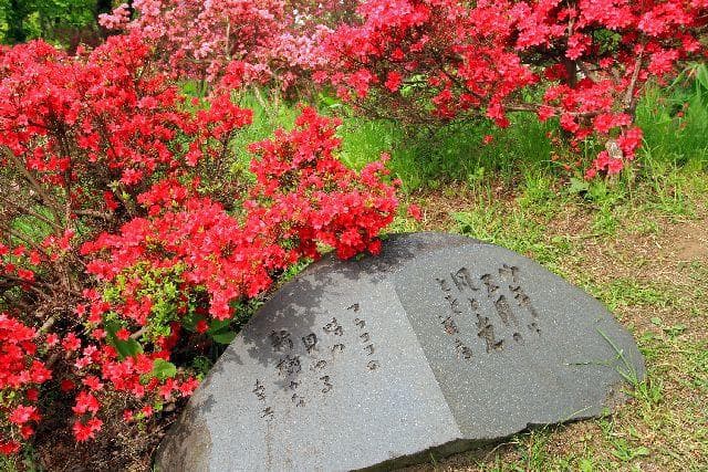 つつじと句碑