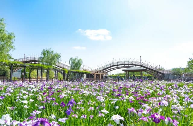 Ayame-en Garden