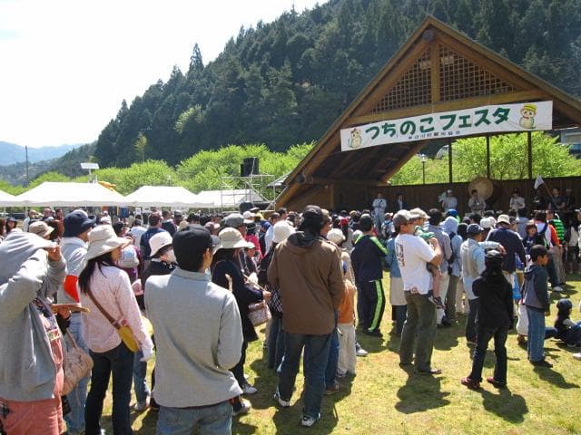 Tsuchinoko Festa