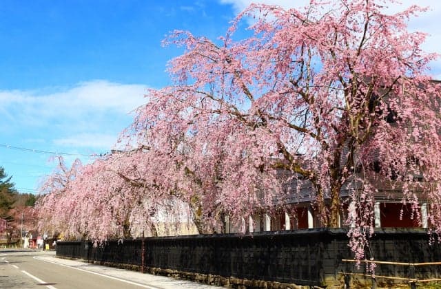 角館樺細工伝承館