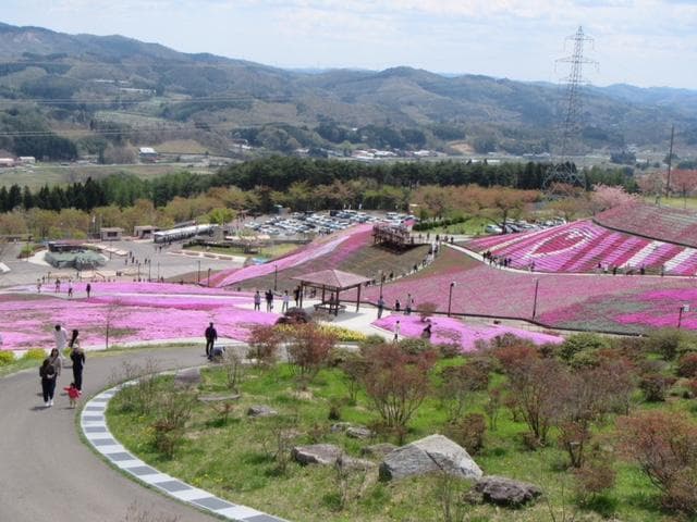 Jupialand Hirata