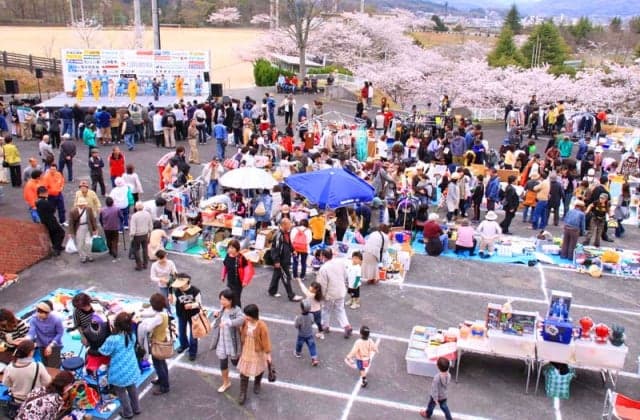Chuo Park Cherry Blossom Festival