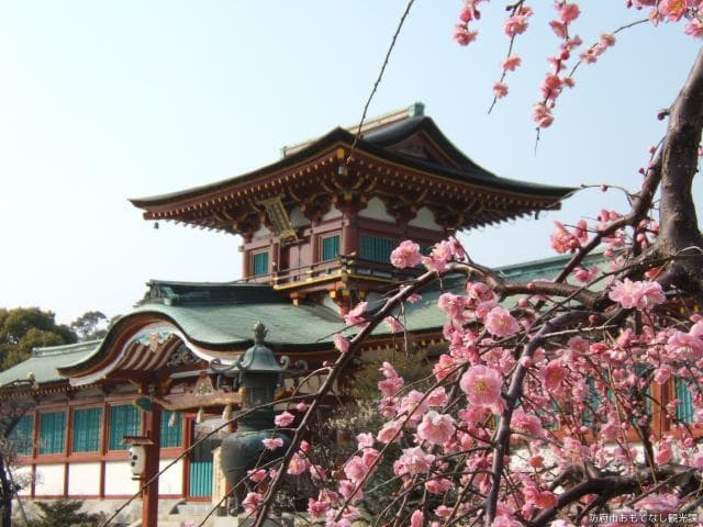 Plum at Hofu Tenman-gu Shrine