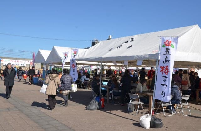 Tsubaki, Goto Festival