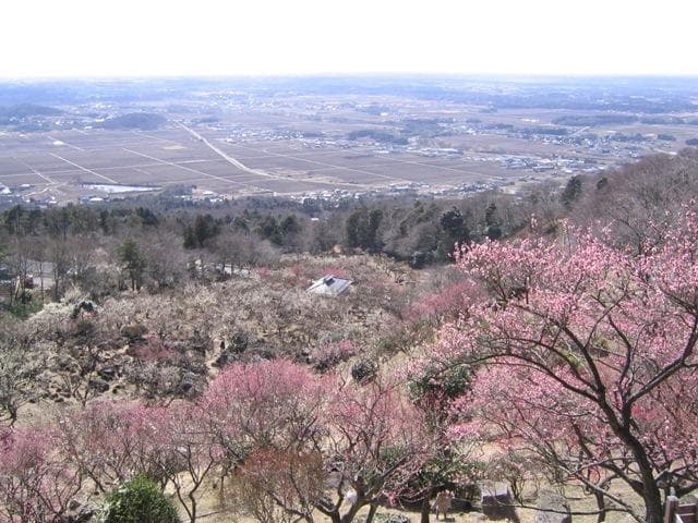 Mount Tsukuba Bairin