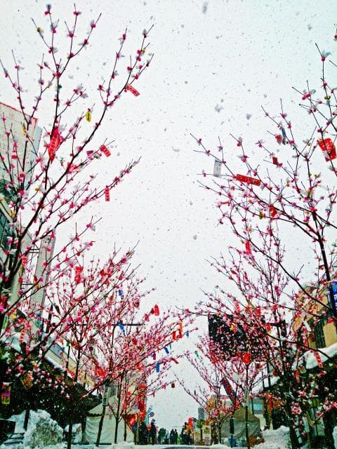 枝アメストリート