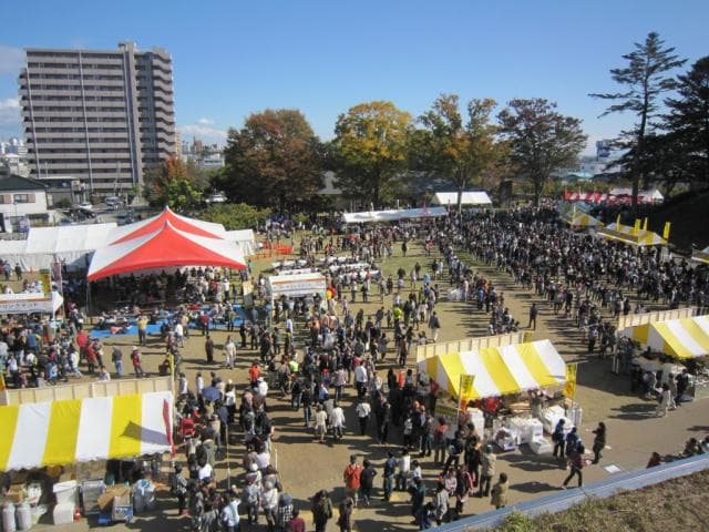 Utsunomiya Gyoza Festival 2012