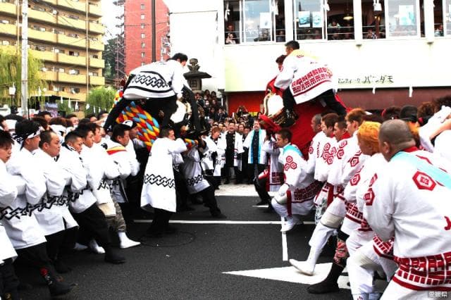 Matsuyama Expressway Late Autumn Festival