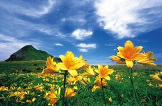 Sado Onogame's kanzo