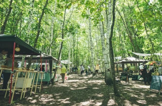 Forest jam
