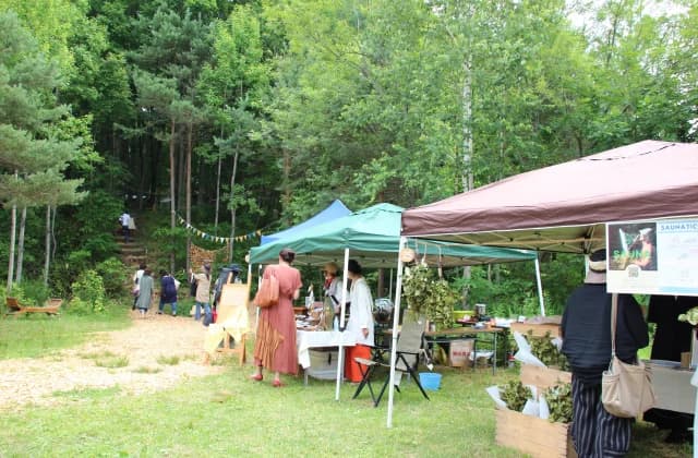 Forest jam
