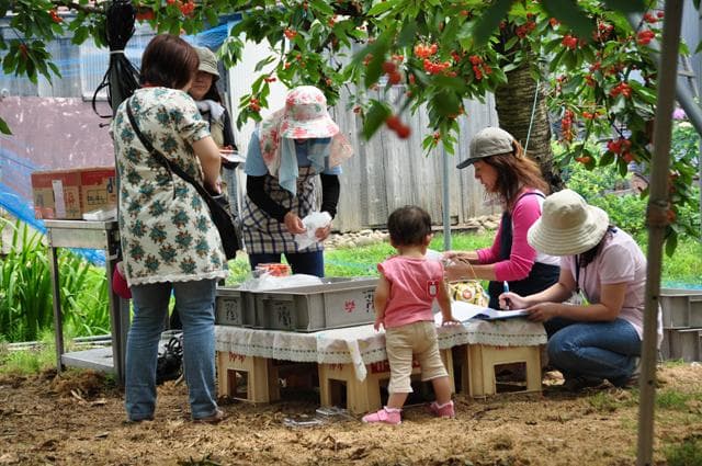 さくらんぼまつり