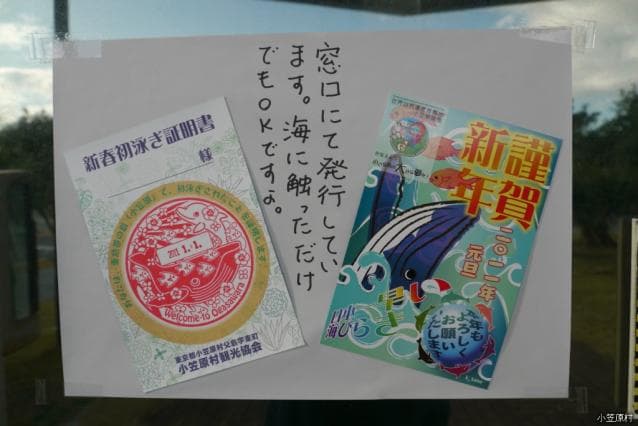 Sea Opening New Year's First Swimming Certificate (Chichijima)