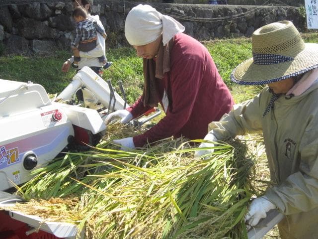 October: 2nd sake school (Inakogi)