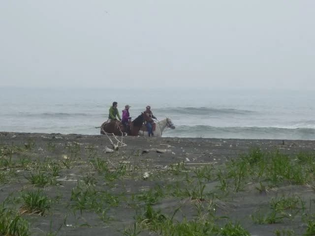Coast course