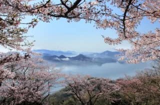 Mt. Ryuo