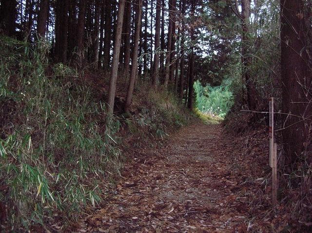 The road over Iga