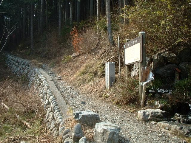Shiratani Sawanobori Mountain Road