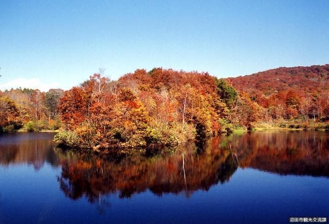 Lake Tamahara (Autumn Leaves)