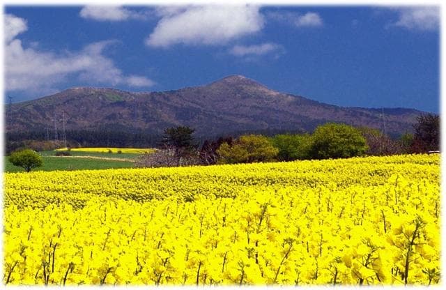 Fukkoshi Eboshi and Rape Field