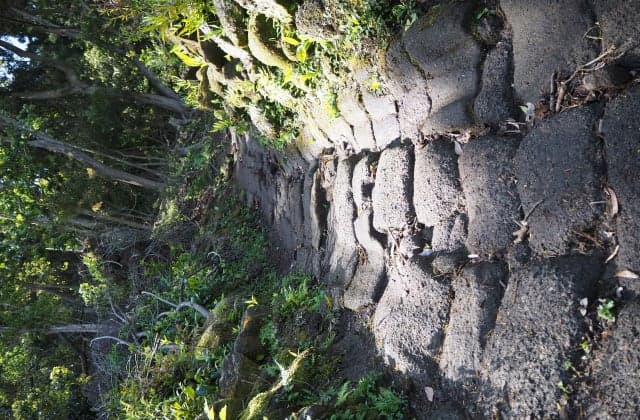 Mount Nokogiri "Track Road"