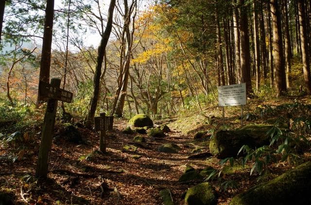 Oyama Falls Hiking Course