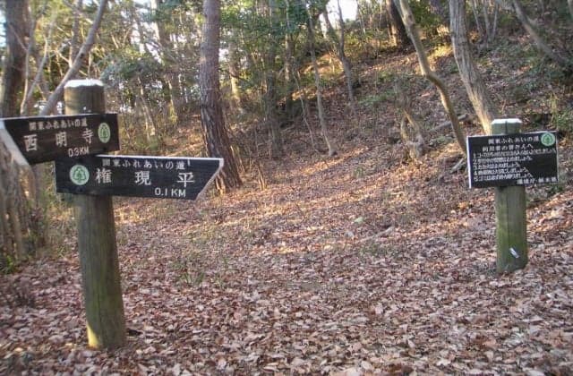 焼物としいの木のみち