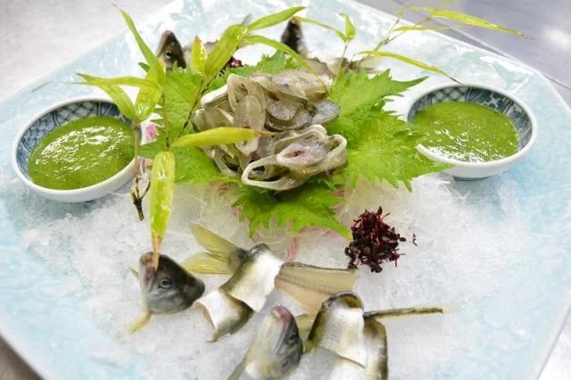 Ayu sashimi
