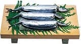 Saury sushi