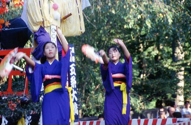 Decorative mountain bean