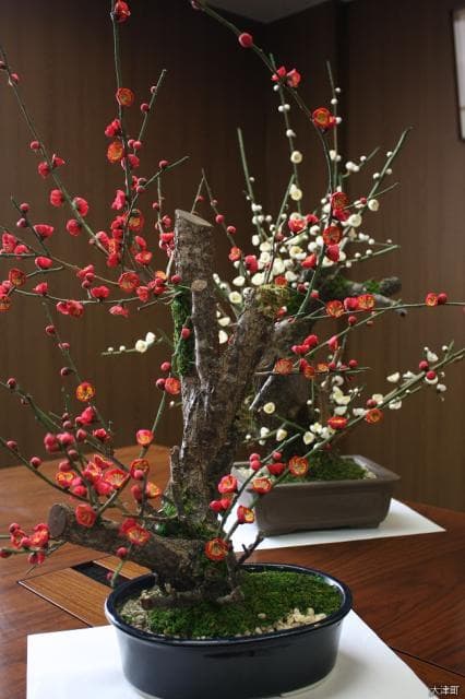 Artificial flowers of plums