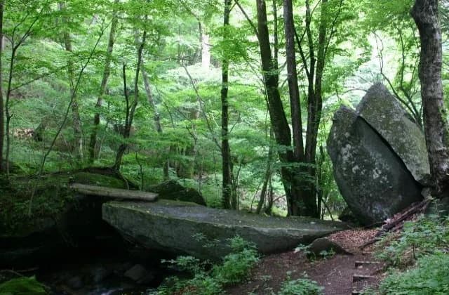 天狗橋