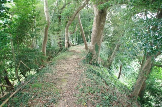 Ido Castle Ruins Exploration Trail