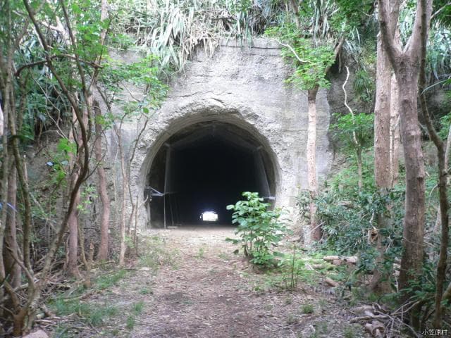Tunnel entrance on the promenade route