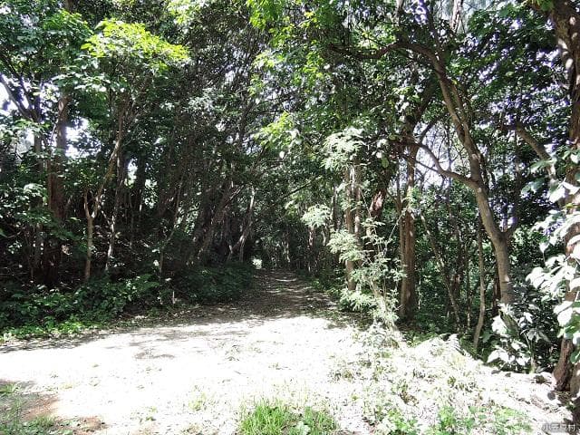 Entrance on the back of the fan