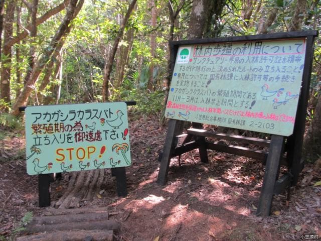 東平アカガシラカラスバトサンクチュアリ