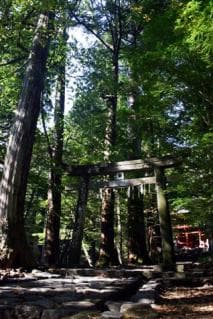 Historic Site Search Road (torii gate of luck)