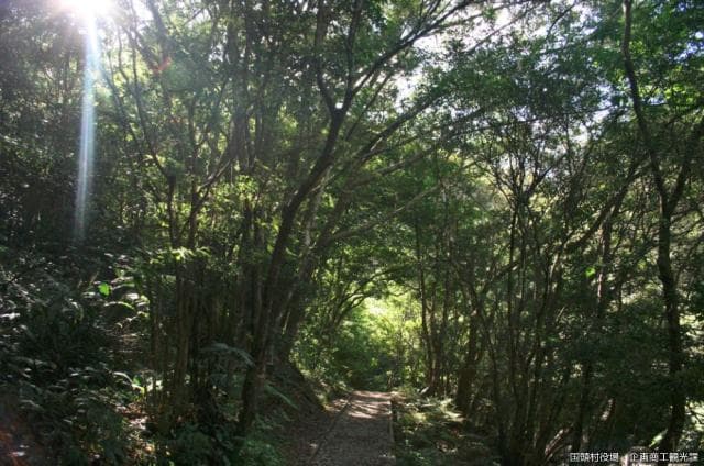 Promenade