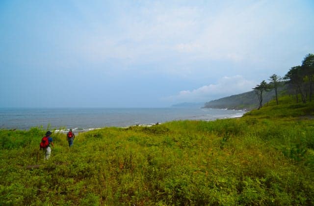 玉川海岸を望む
