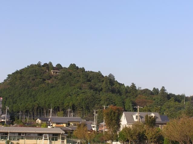 麓から天覧山を仰ぐ