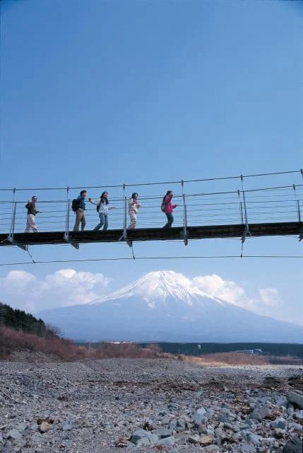 Suspension bridge