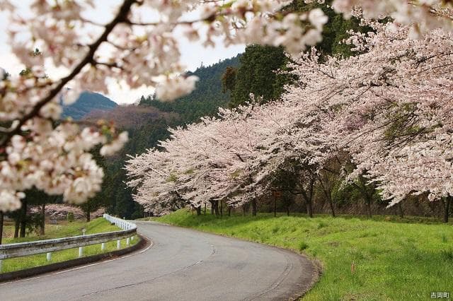 Funao Nature Park (April)