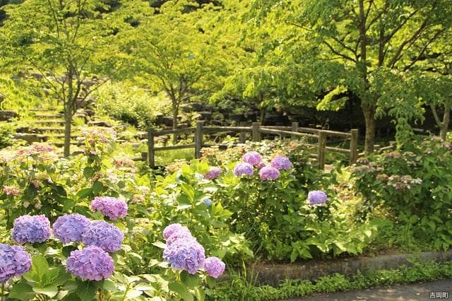 Stern Nature Park (June)