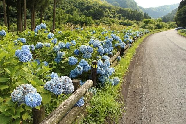 Stern Nature Park (June)