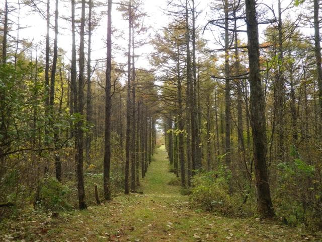 Early autumn promenade