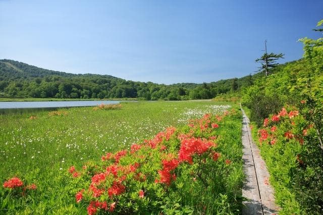 Onuma Nature Research Road
