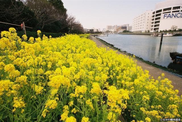 Shinagawa Hanakaido Road